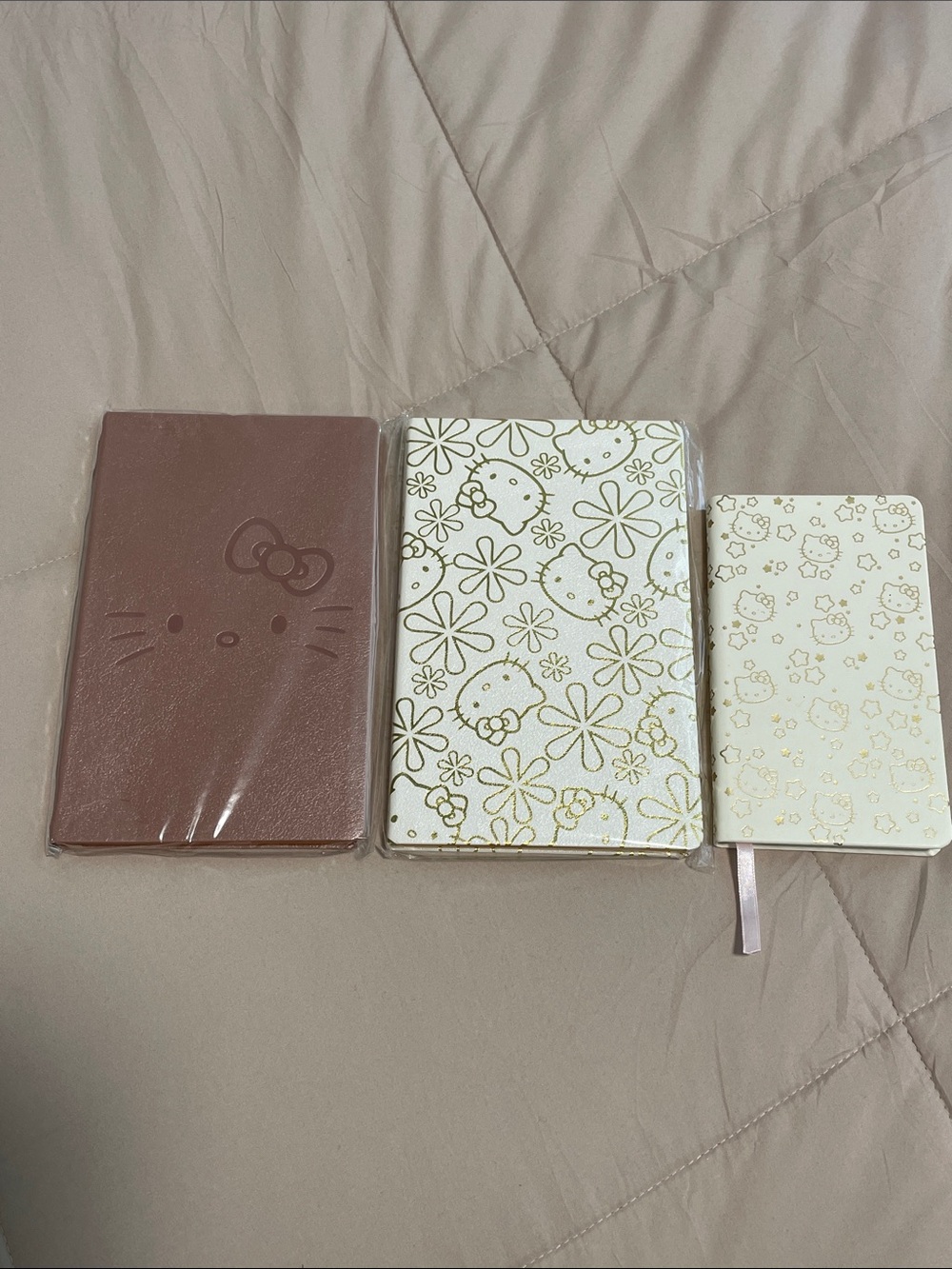 Sanrio-Erin Condren Hello Kitty Pink and Cream Gold-Print Notebook Trio NWT